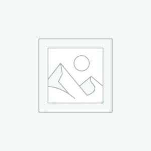 Ecommerce Premium